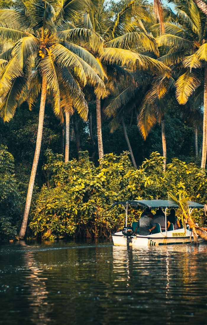 raimond-klavins-Xfv3zkFScEI-unsplash
